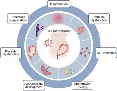 Preterm Birth in Women With HIV: The Role of the Placenta